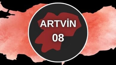 Artvin