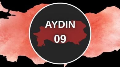 Aydın